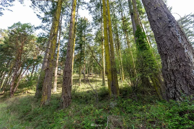 a view of backyard with green space