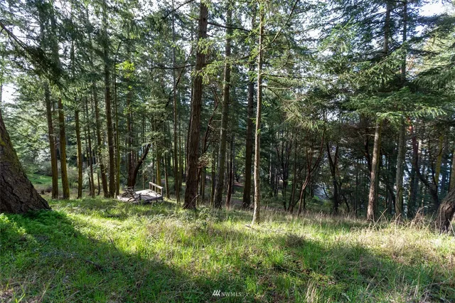 a view of a chair and table in backyard of the house