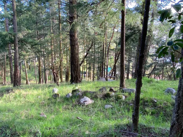 a view of outdoor space and trees