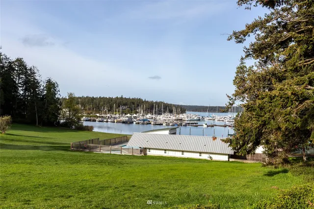a view of a swimming pool with a yard