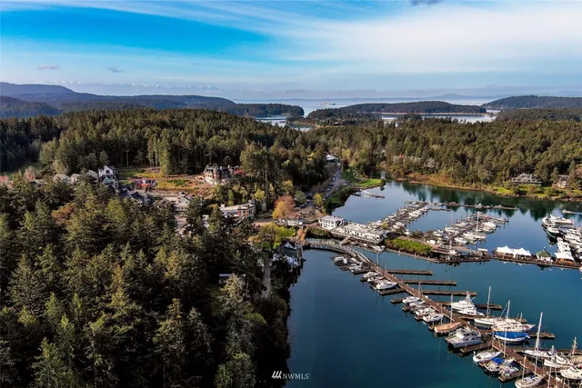 a view of a street with trees on both side of it