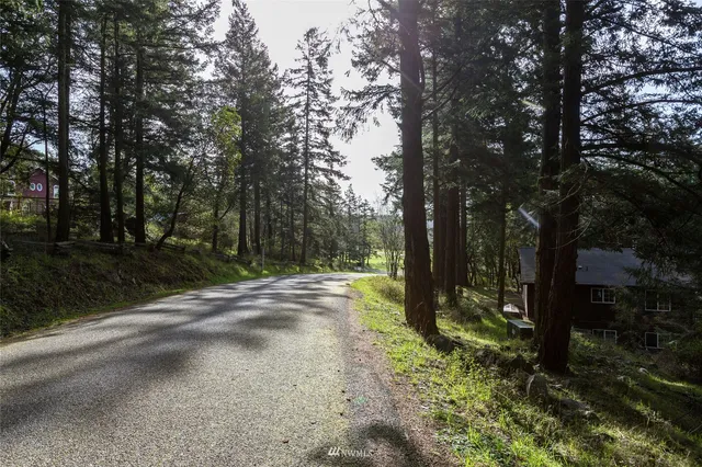 a view of backyard with green space