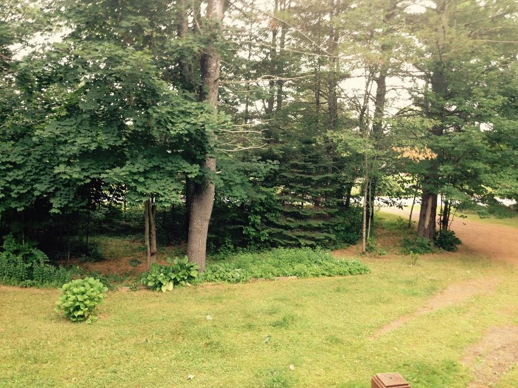 19 Hodgdon Road Levant, ME 04456 - Photo 31 of 35 Front Yard