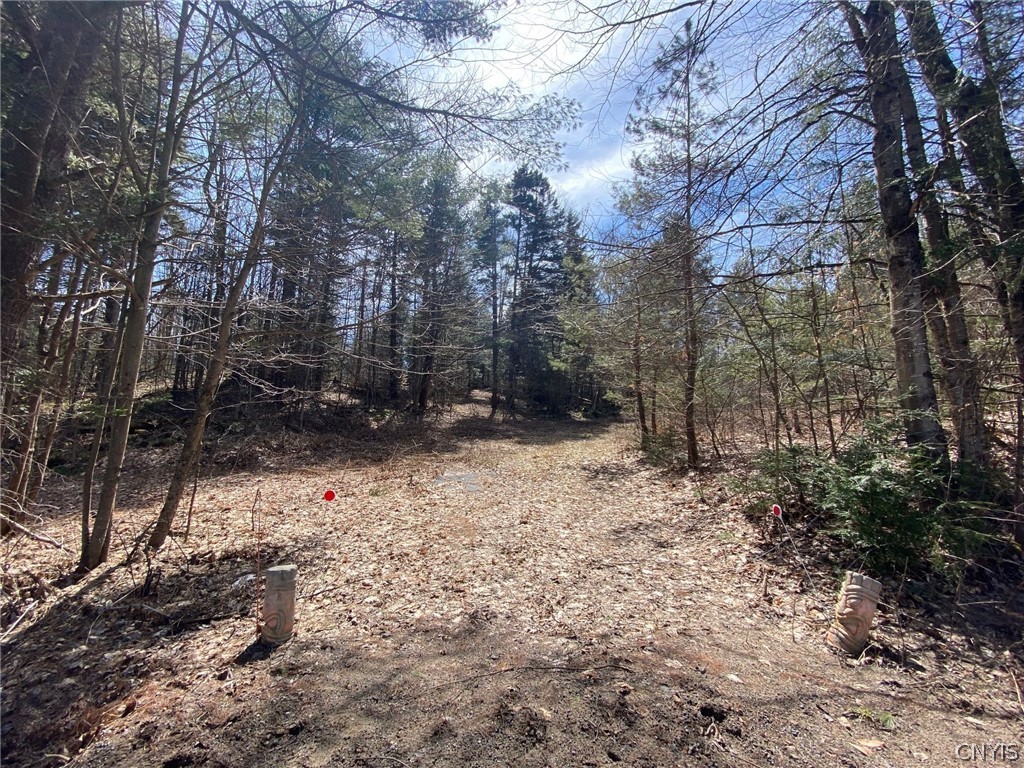 810 Hurricane Road Cold Brook, NY 13324 - Photo 1 of 1 Gallery Image 1
