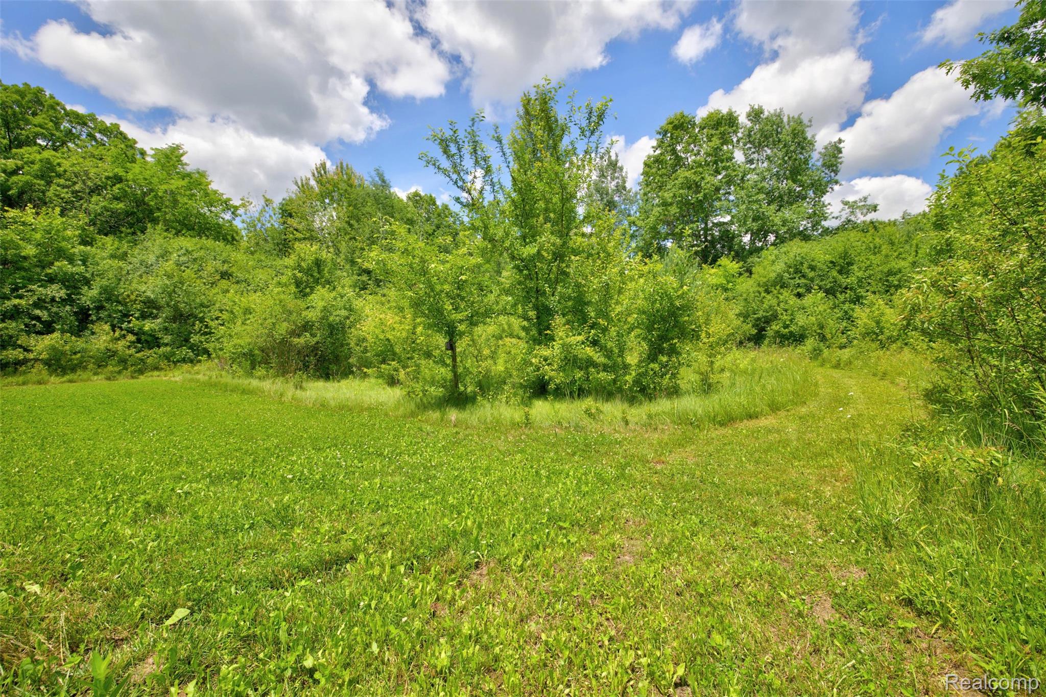 5244 Oleksyn Road Flint, MI 48504 - Photo 58 of 70 Expansive green space featuring natural vegetation and a clear blue sky