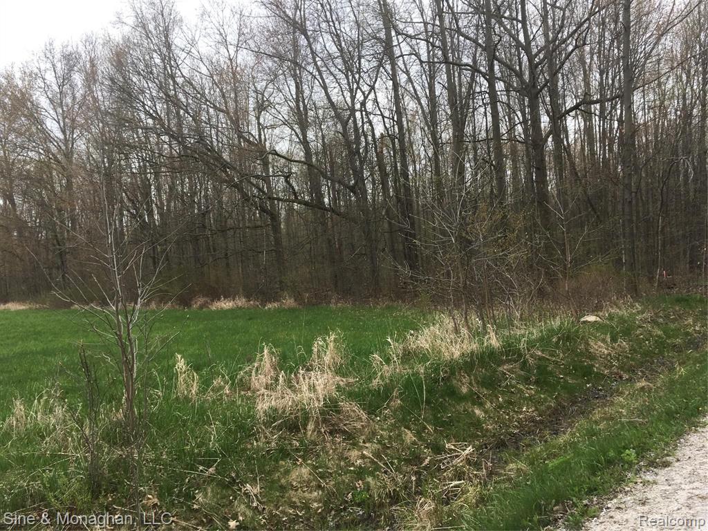 V/l V/l Springborn Parcel D Road Casco, MI 48064 - Photo 2 of 2