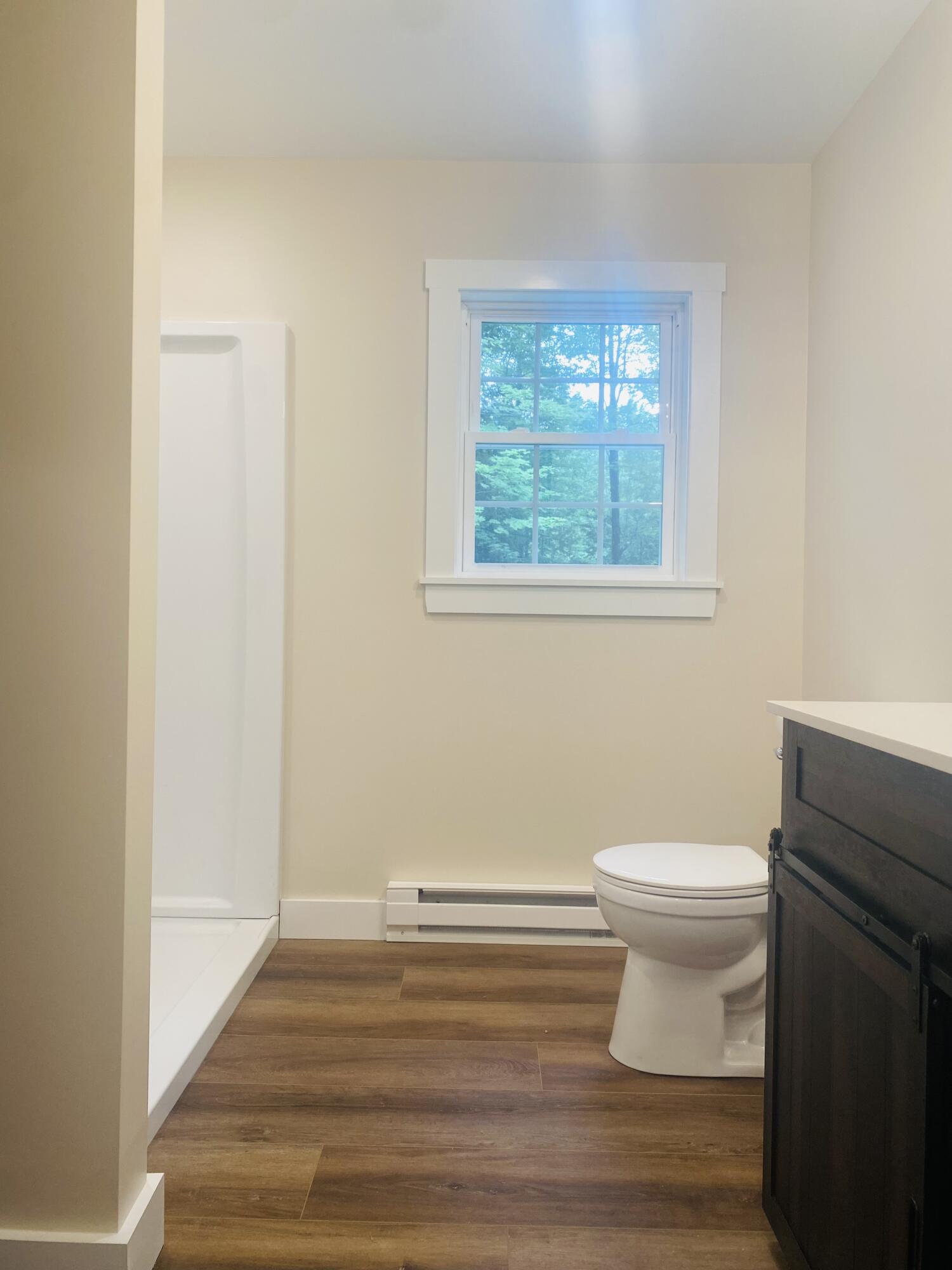 116 Ben Hale Road Waterford, ME 04088 - Photo 25 of 67 IMG_4762