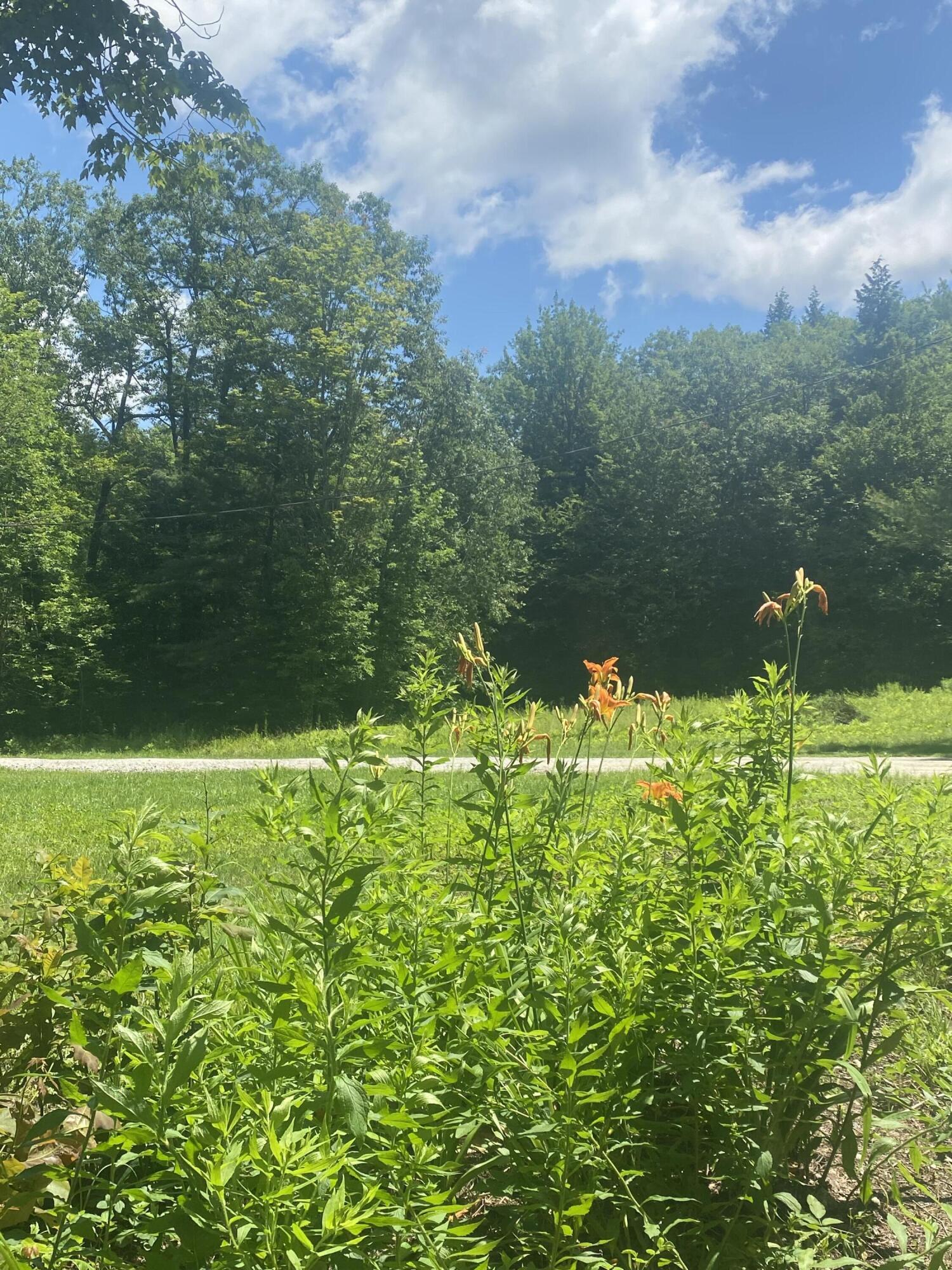 116 Ben Hale Road Waterford, ME 04088 - Photo 61 of 67 IMG_4797