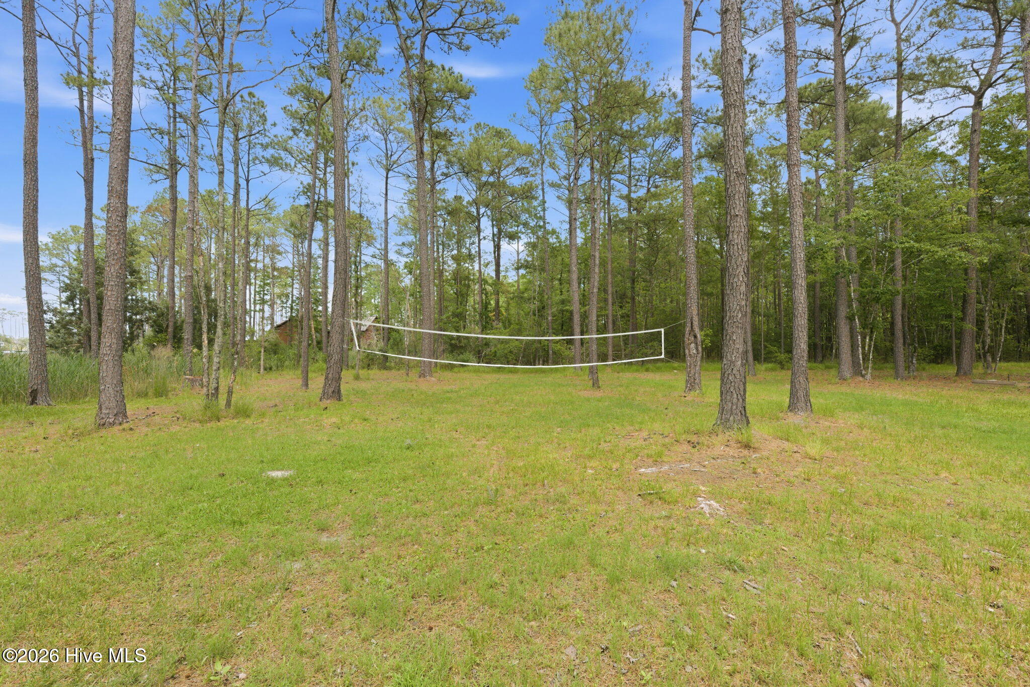 407 Point Of View Drive Merritt, NC 28556 - Photo 61 of 72 66-web-or-mls-DSC_7339