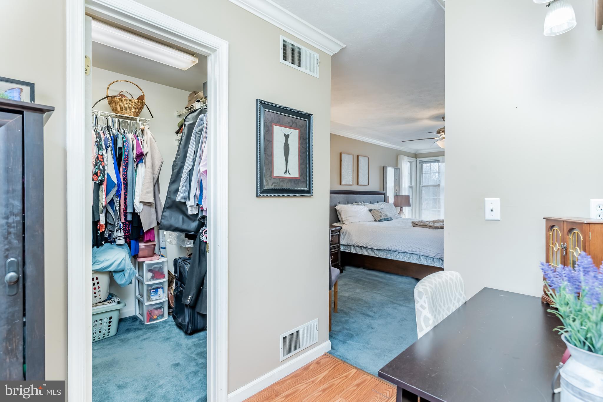 650 Shannon Road Boiling Springs, PA 17007 - Photo 14 of 29 Primary bedroom w/ dressing area & walk in closet