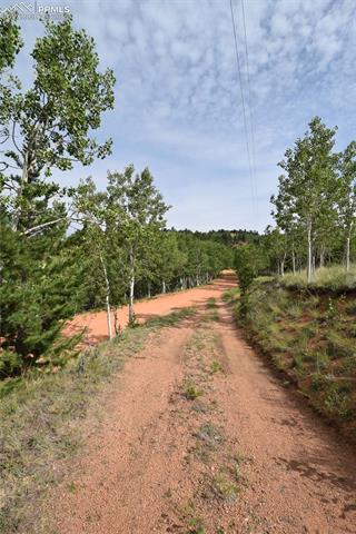 80 Spur Road Divide, CO 80814 - Photo 36 of 48 View of road with a wooded view