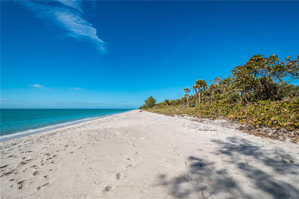 1591 Beach Road, Unit 403 Englewood, FL 34223 - Photo 60 of 61 a view of a beach with a plant