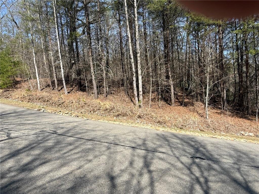 28 Sharp Mountain Drive Jasper, GA 30143 - Photo 4 of 14 a view of a yard covered with snow in front of house