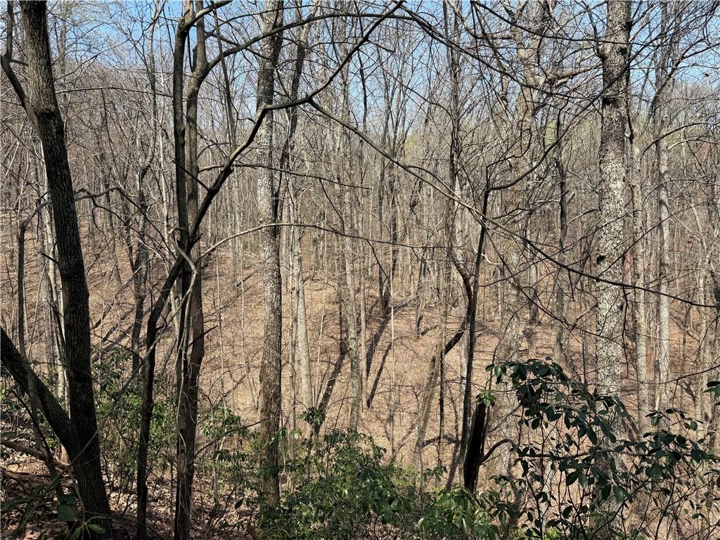 28 Sharp Mountain Drive Jasper, GA 30143 - Photo 6 of 14 a backyard of a house with lots of green space