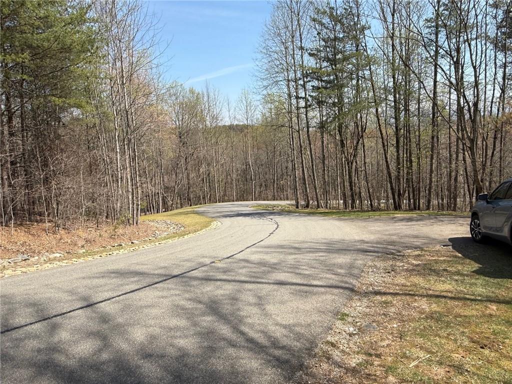 28 Sharp Mountain Drive Jasper, GA 30143 - Photo 7 of 14 a view of backyard space with trees