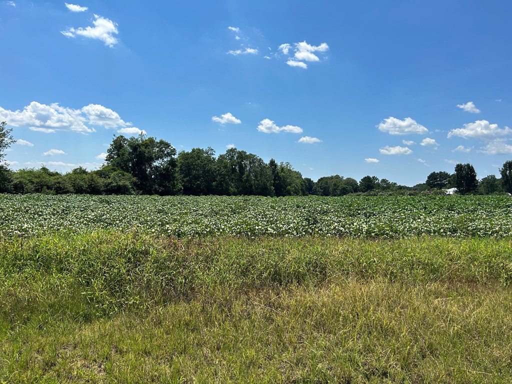132.3-ac Green Road Dothan, AL 36303 - Photo 55 of 63