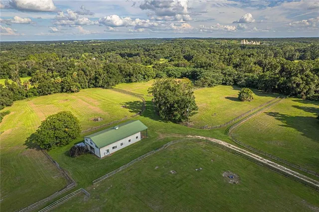 a view of a trees in a park