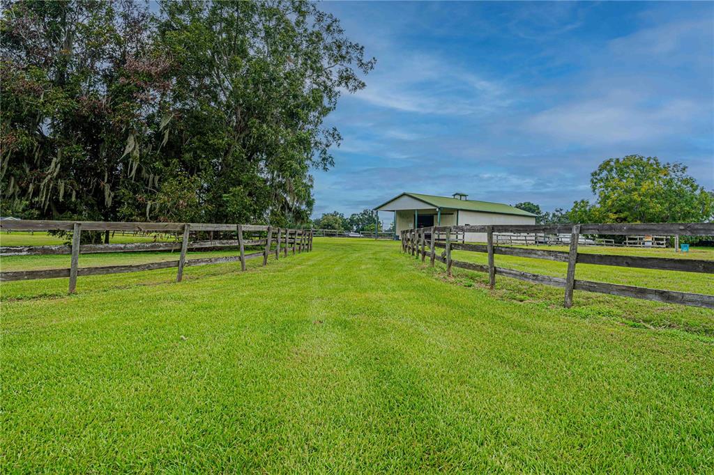 12615 Northwest Gainesville Road Reddick, FL 32686 - Photo 57 of 88