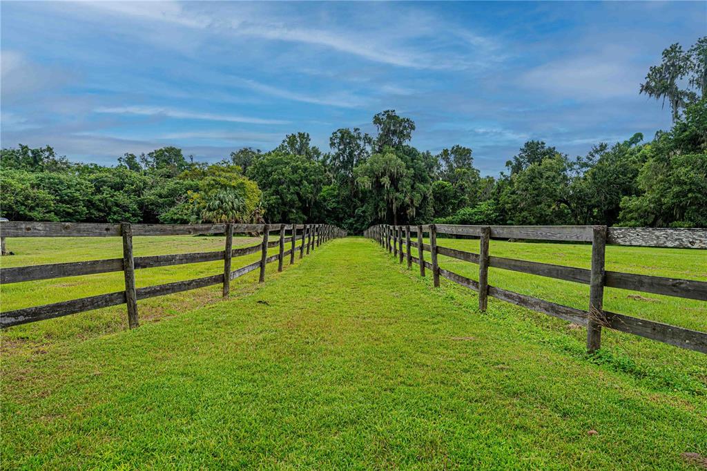 12615 Northwest Gainesville Road Reddick, FL 32686 - Photo 65 of 88