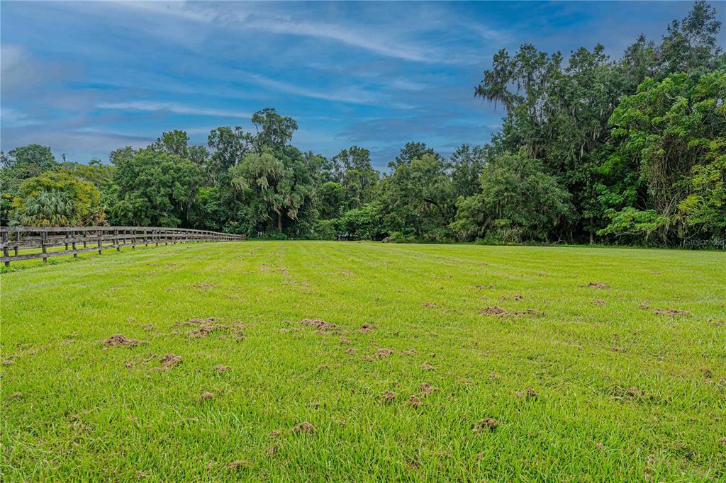 12615 Northwest Gainesville Road Reddick, FL 32686 - Photo 66 of 88