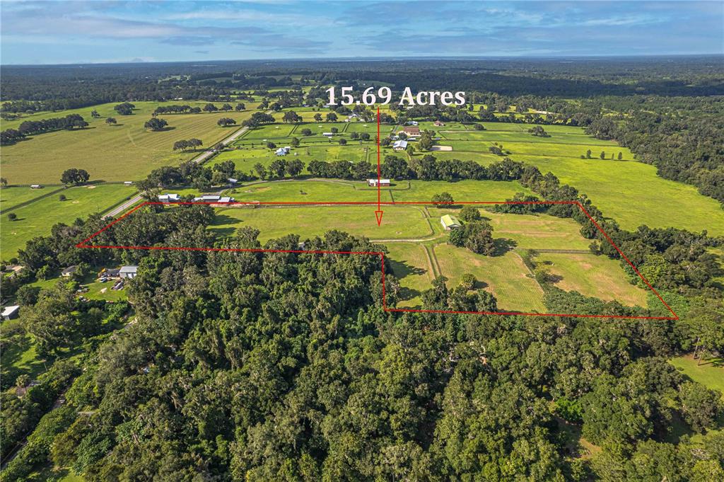 12615 Northwest Gainesville Road Reddick, FL 32686 - Photo 80 of 88