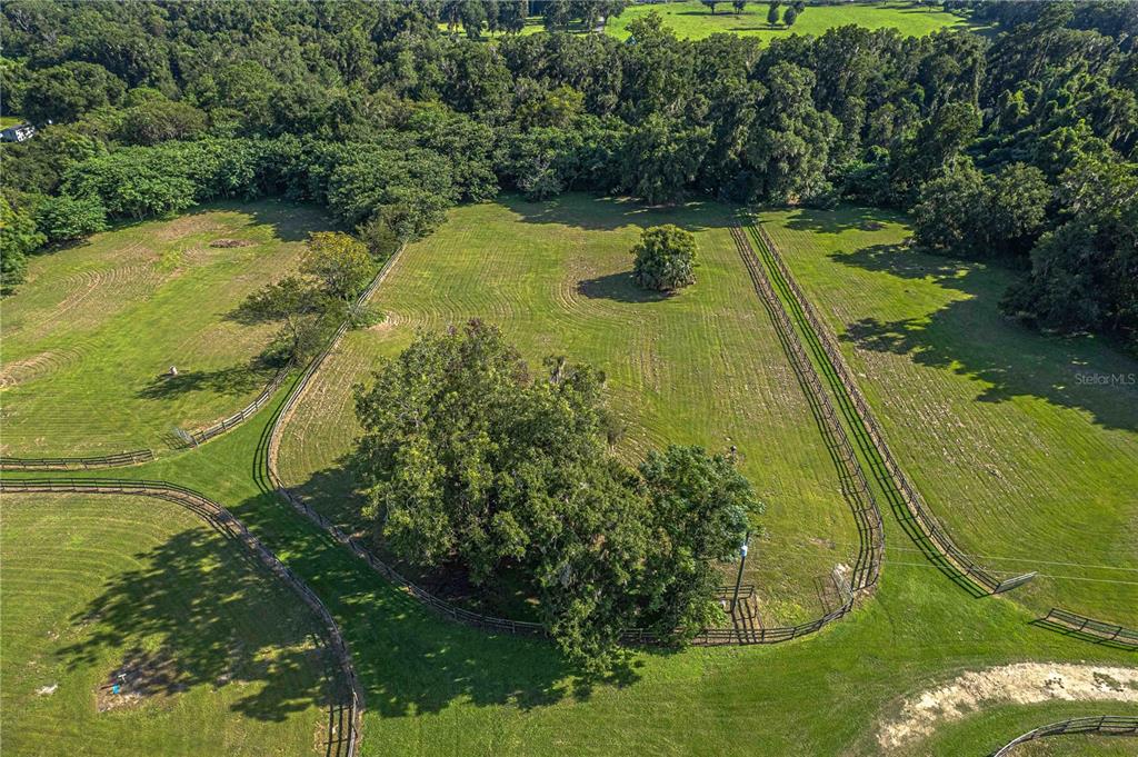 12615 Northwest Gainesville Road Reddick, FL 32686 - Photo 87 of 88