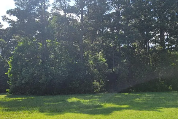 $60,000 | Lot 67 Atlantic Street, Unit 67, Wachapreague, VA 23480