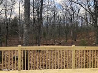 314 Maple Ridge Drive Hawley, PA 18428 - Photo 6 of 21 View of Back Yard