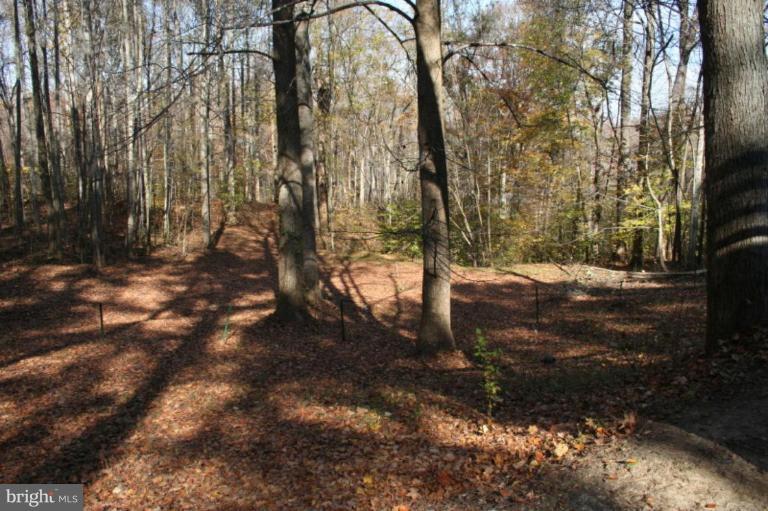 4363 Caledon Road King George, VA 22485 - Photo 22 of 29 Back Yard