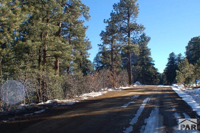 Tbd Paul Lane Rye, CO 81069 - Photo 1 of 1