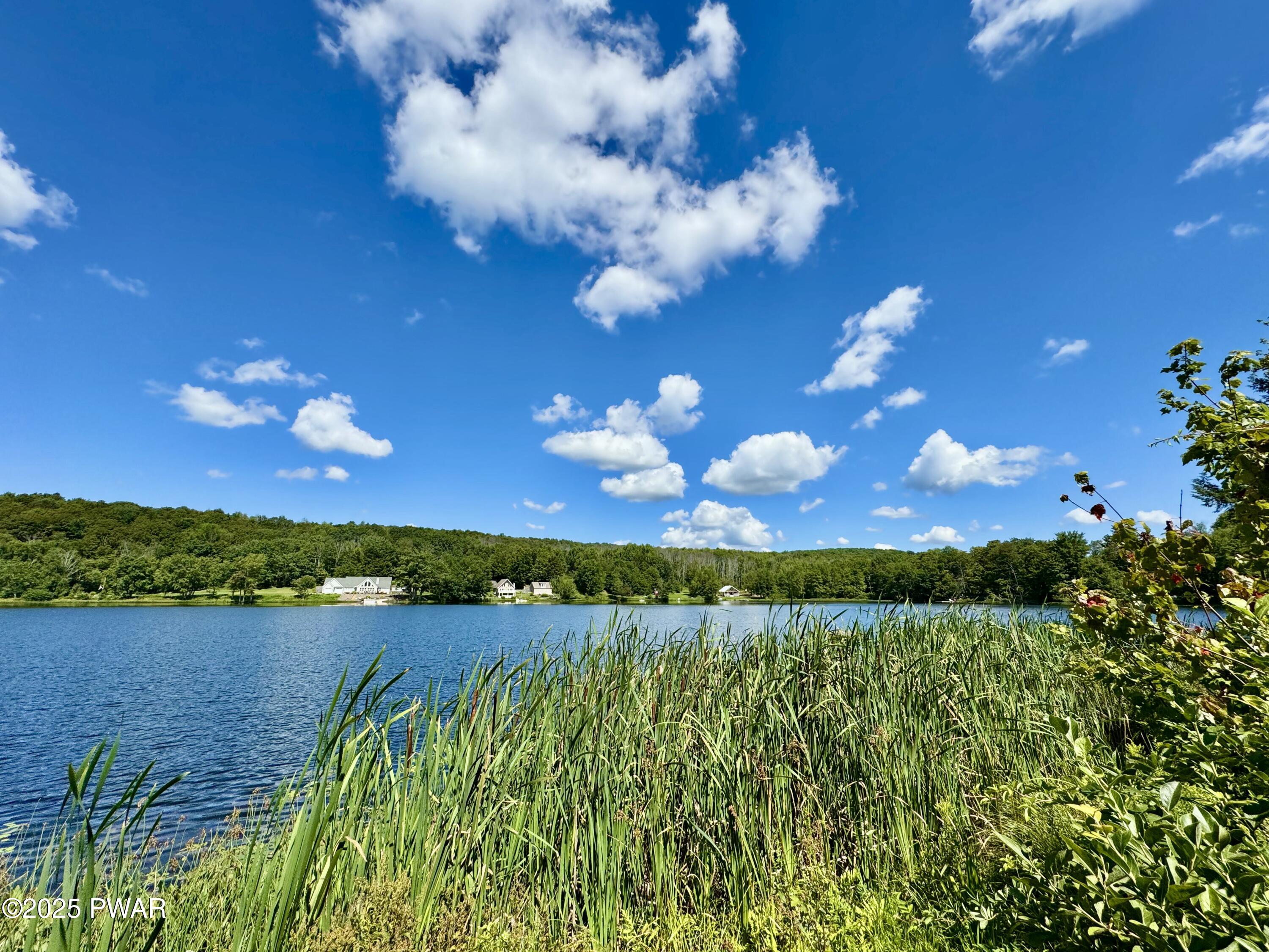 76 South Shore Road Pleasant Mount, PA 18453 - Photo 28 of 30 vGorgeous Bigelow lake