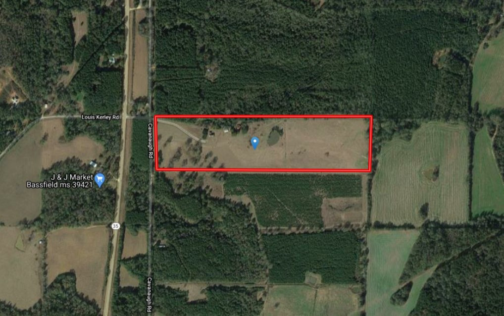 1330 Cavanaugh Road Bassfield, MS 39421 - Photo 4 of 33 Photo 4