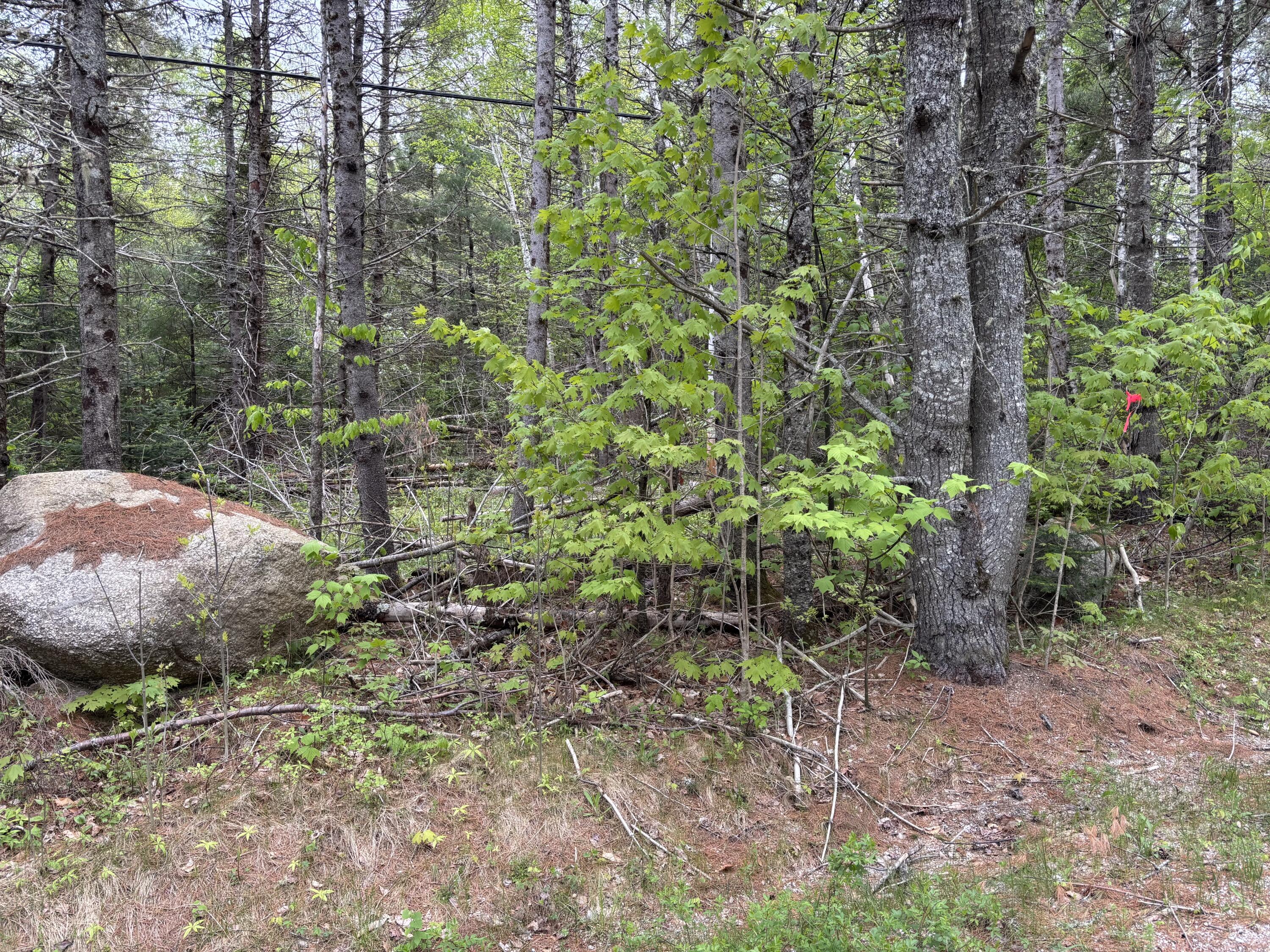 Lot# 4-7 Lot#4-7 Macomber Mill Road Eastbrook, ME 04634 - Photo 16 of 16 IMG_9755