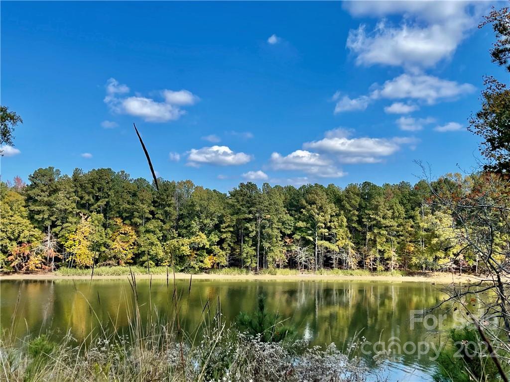 731 Retreat Way Ridgeway, SC 29130 - Photo 1 of 13 a view of a lake