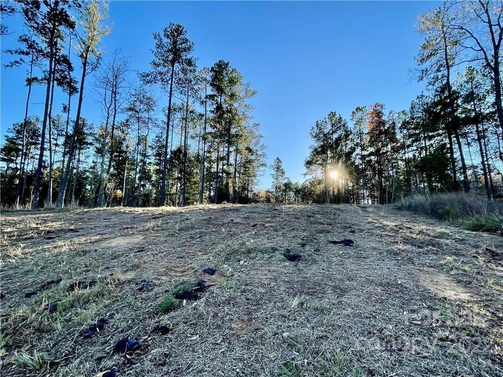 731 Retreat Way Ridgeway, SC 29130 - Photo 7 of 13 a view of a yard with trees