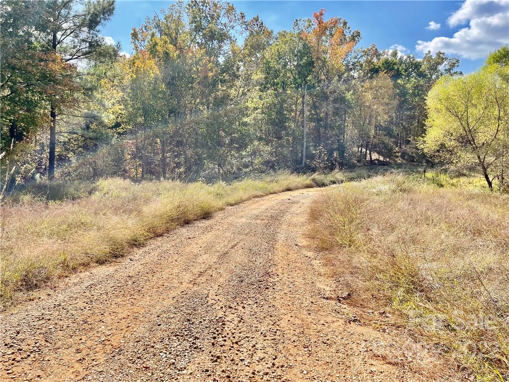 731 Retreat Way Ridgeway, SC 29130 - Photo 10 of 13 a view of dirt yard with a trees