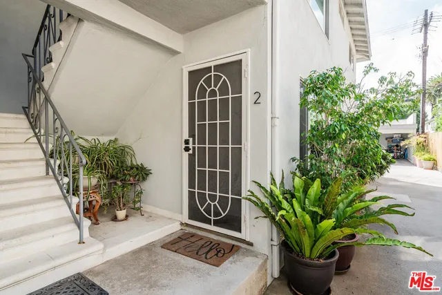 a potted plant sitting in front of a house