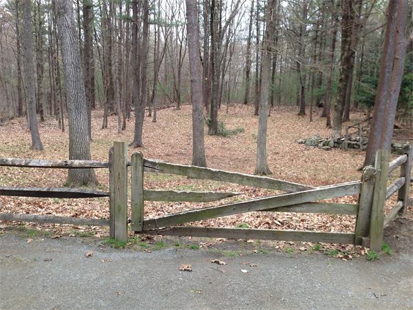 17 B Old Topsfield Road Boxford, MA 01921 - Photo 28 of 29 a view of a backyard with trees