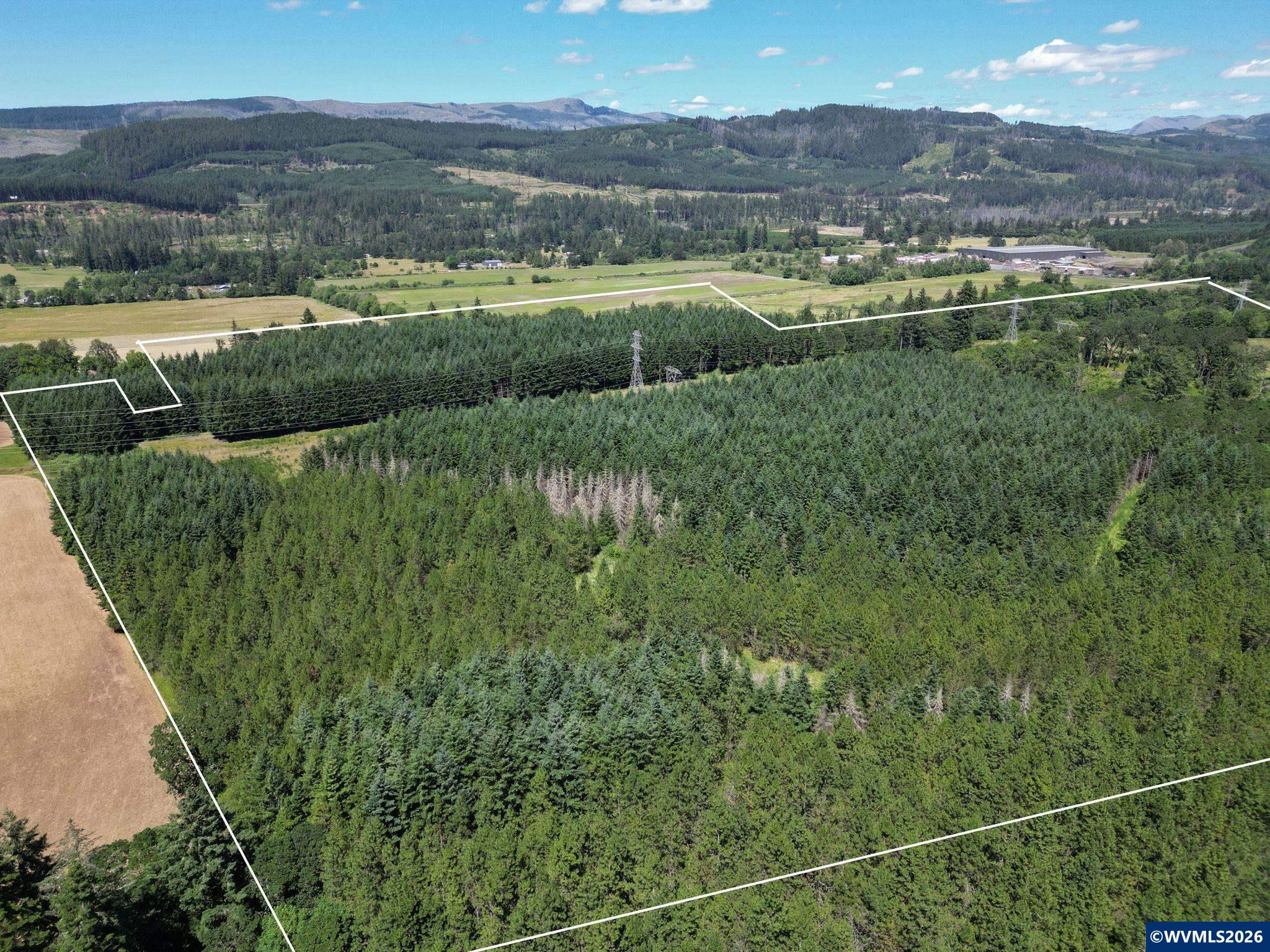 2702-2703 South Cedar Mill Road Lyons, OR 97358 - Photo 7 of 17