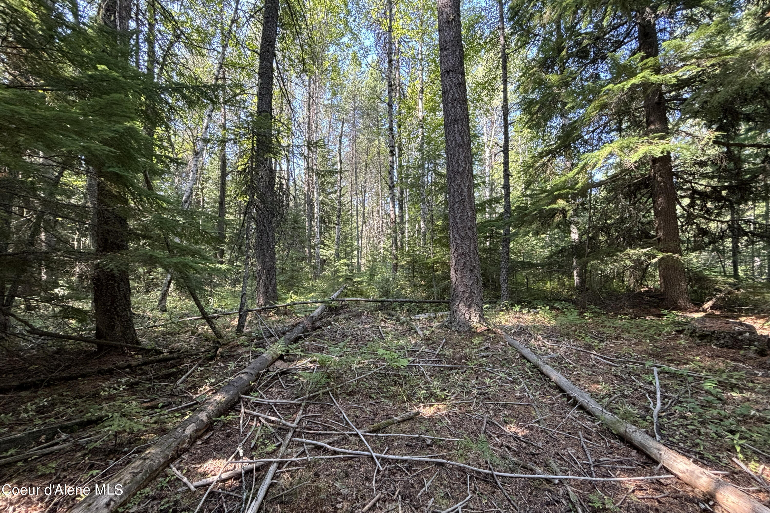 Nna Ridge Way Sandpoint, ID 83864 - Photo 3 of 16 Potential Building Pad