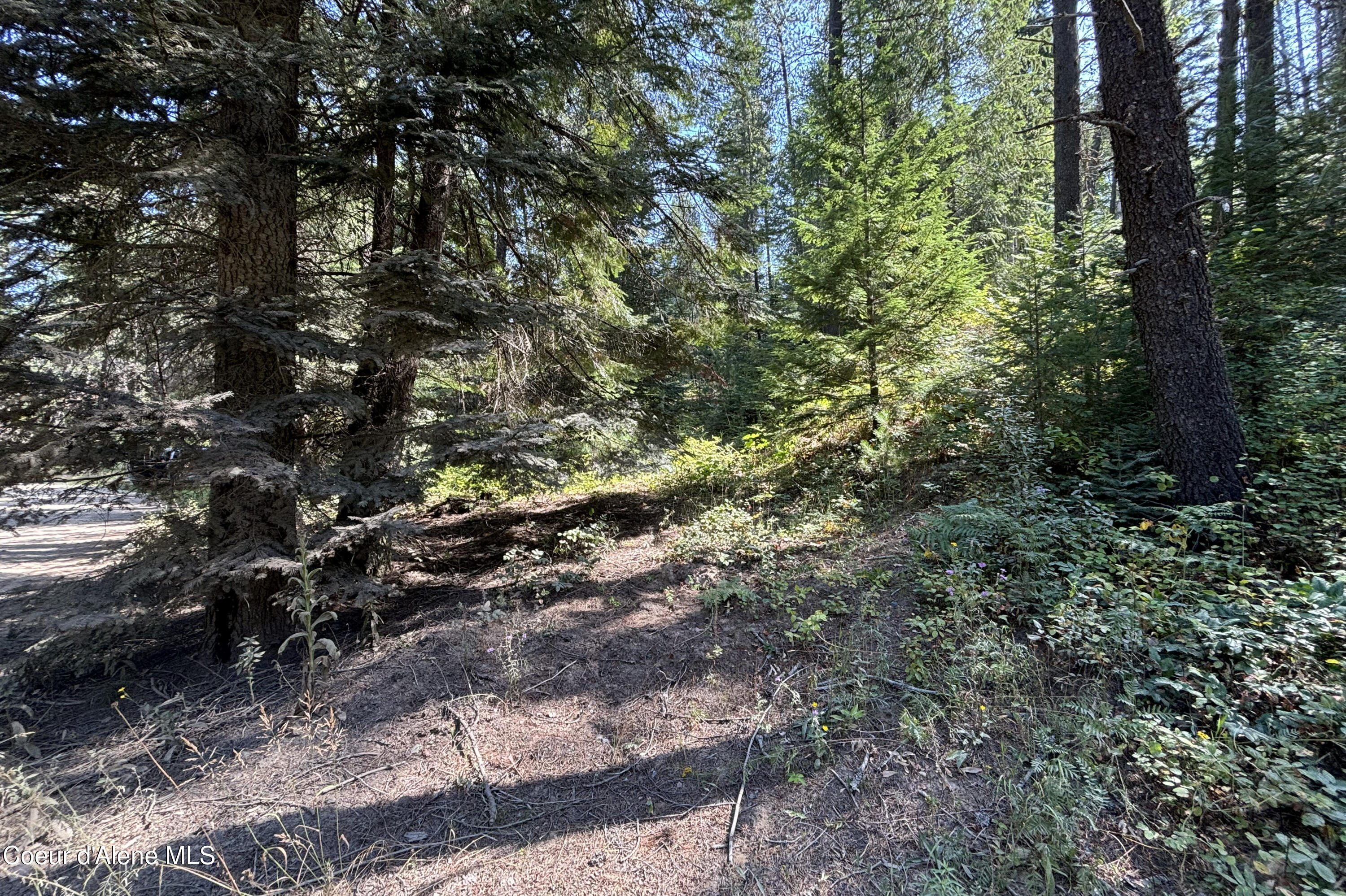 Nna Ridge Way Sandpoint, ID 83864 - Photo 4 of 16 Roughed in Road