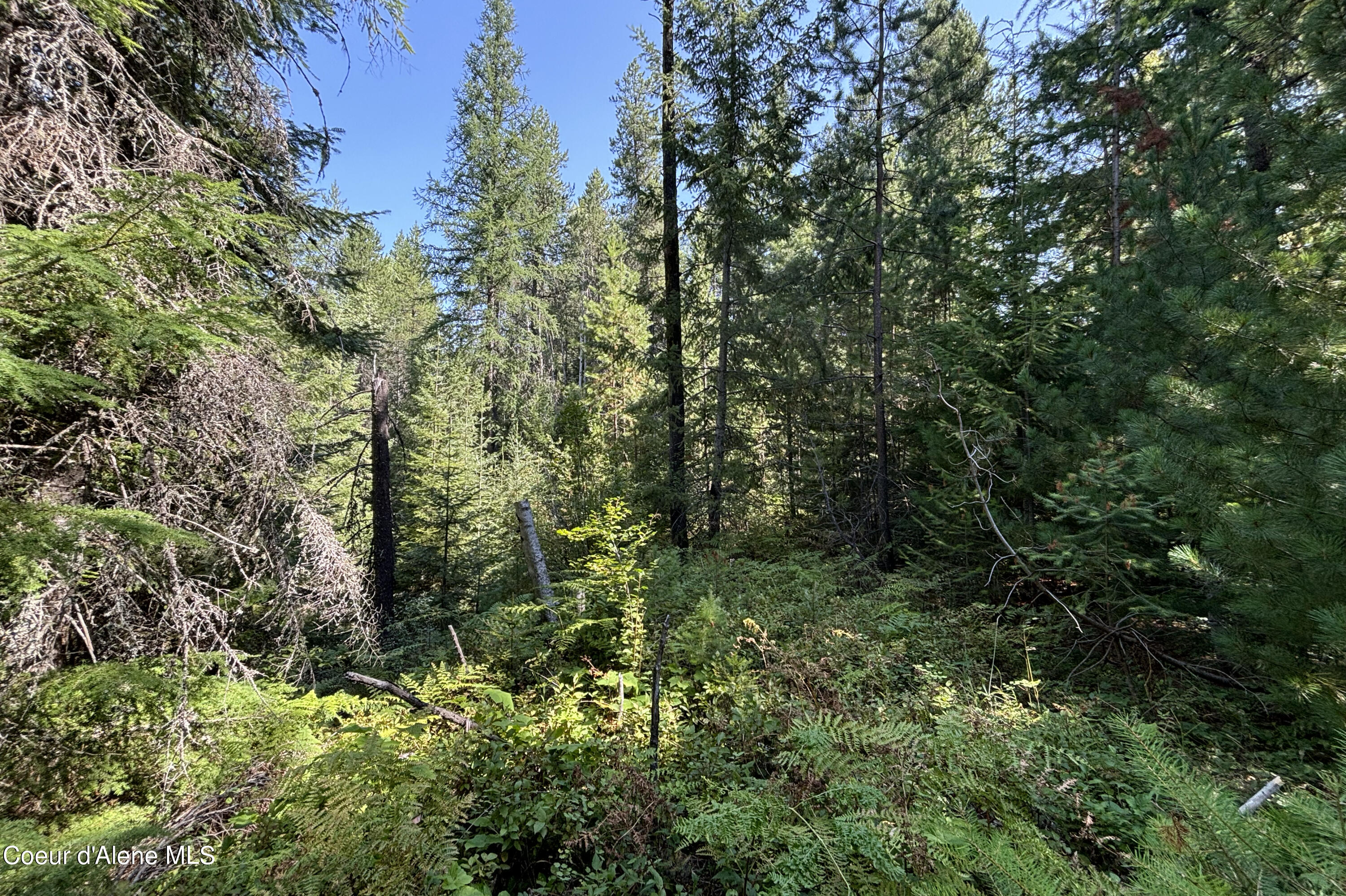 Nna Ridge Way Sandpoint, ID 83864 - Photo 7 of 16 Ground 2