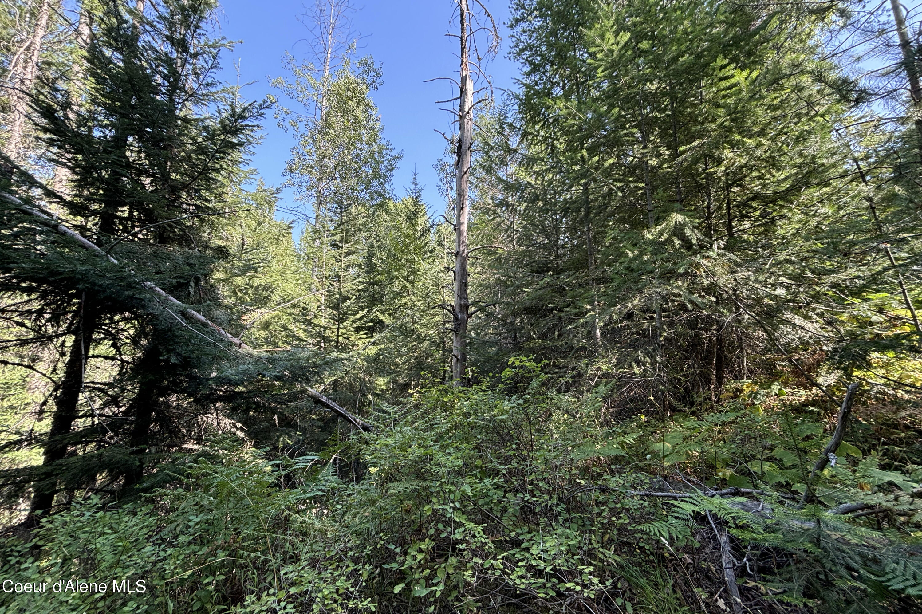 Nna Ridge Way Sandpoint, ID 83864 - Photo 8 of 16 Ground Looking East