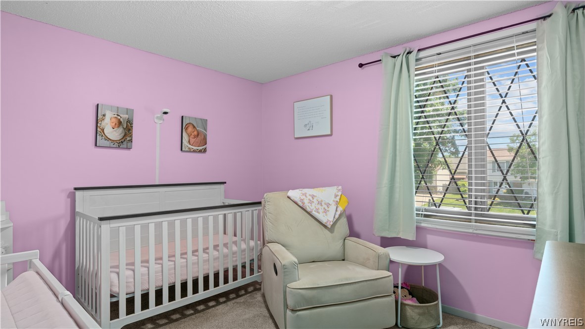 3726 Breckenridge Road Hamburg, NY 14075 - Photo 25 of 45