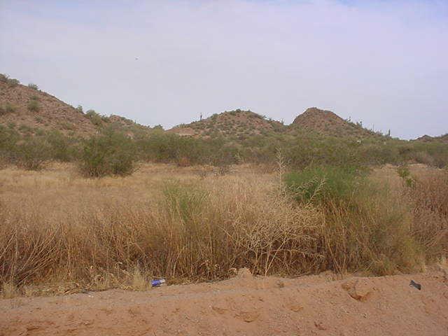 0 North Liebre Road, Unit A Maricopa, AZ 85139 - Photo 1 of 1 Primary Photo