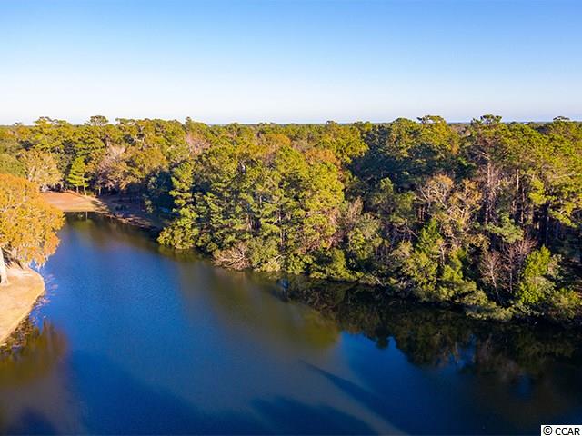 Lot 205 Pinckney Road Georgetown, SC 29440 - Photo 1 of 11 Gallery Image 1