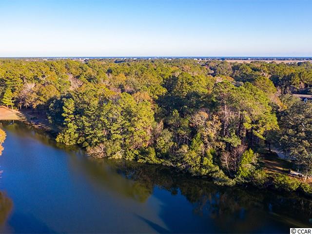 Lot 205 Pinckney Road Georgetown, SC 29440 - Photo 2 of 11 Gallery Image 2