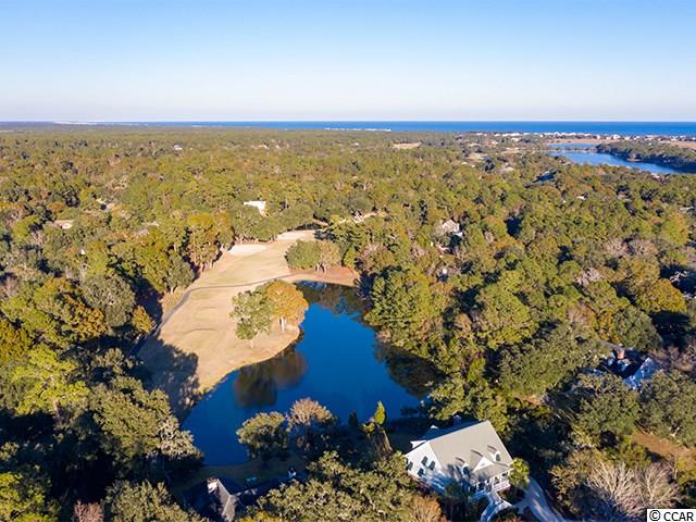 Lot 205 Pinckney Road Georgetown, SC 29440 - Photo 11 of 11 Gallery Image 11