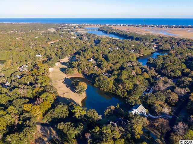 Lot 205 Pinckney Road Georgetown, SC 29440 - Photo 4 of 11 Gallery Image 4