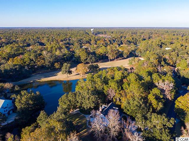 Lot 205 Pinckney Road Georgetown, SC 29440 - Photo 6 of 11 Gallery Image 6